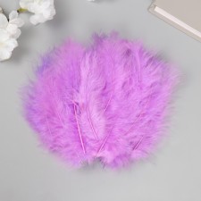 Pen decorative goose down 