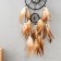 Dreamer Double "Circle. Shell" black-beige d = 17 cm 17x72 cm