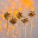 New Year's decor "Bouquet of gold cones"