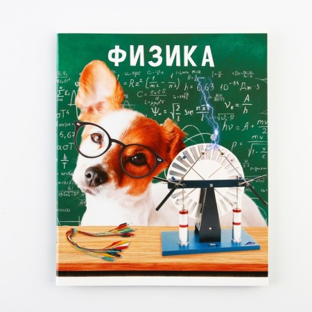An objective notebook 48 sheets, A5, cute pets, with reference materials “September 1: Physics”, cover coated cardboard 230 gr., Inner block in a cage 80 gr., Sweet of 96%, block No. 1.-6