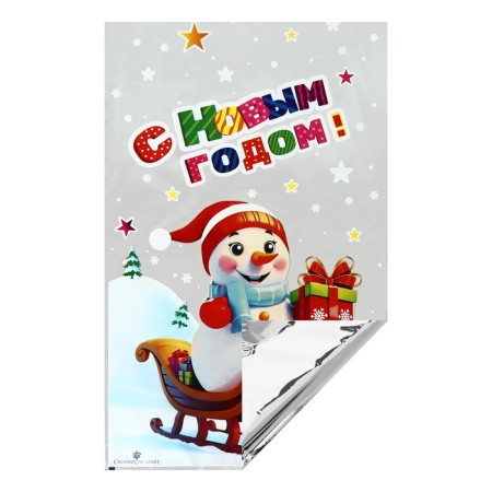 Gift package "Snowman on a sleigh" 25 x 40 cm, colored metallized pattern-1