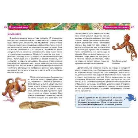 Children's Encyclopedia "Underwater World"-1