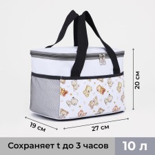 Tarmosumka with a zipper, volume of 10 l, color gray color