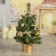 Christmas tree decor "bow" 25x15 cm, gold