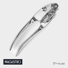 Knock Magistro Volt, stainless steel, silver color