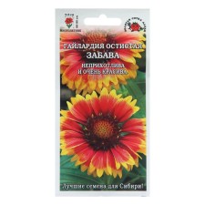 Gaylardia Flower seeds 