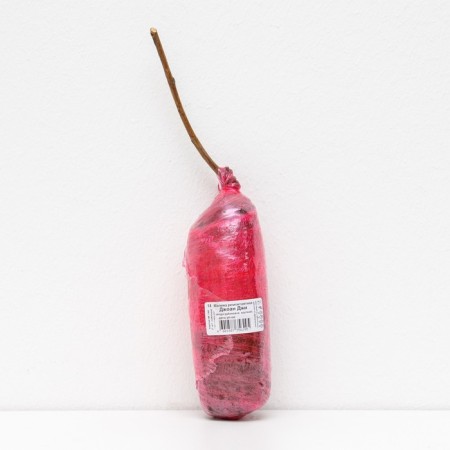 Raspberry repair varieties "Joan Ji", 1 pc, tube, spring 2025-1