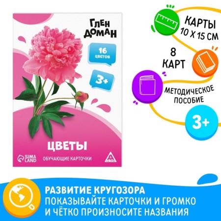 Training cards according to the method of Glena Doman "Flowers", 8 cards, 3+