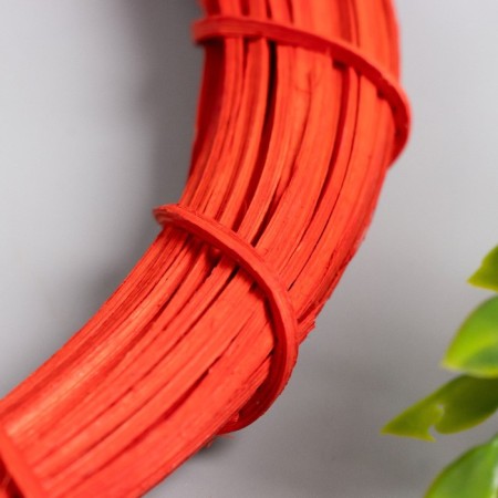 Ring Ring for the manufacture of Dreams Catter "Red" d = 20 cm-1