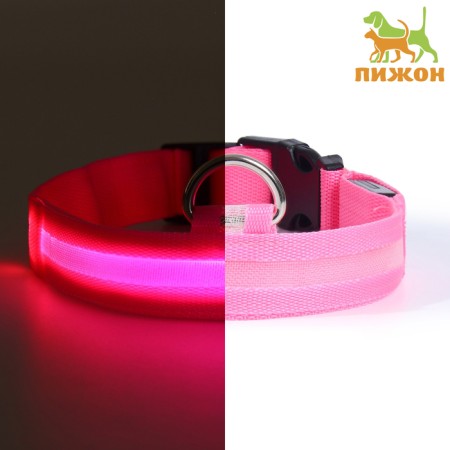 Collar with backlight size M, Osh 40-48 x 2.5 cm, 3 glow modes Pink