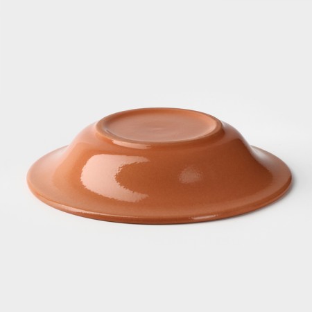 SUPOL plate, 500 ml, d = 22 cm, h = 4.5 cm-3