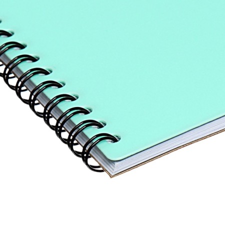 Album for drawing A4 30 sheets, on spirals, Erichkrause, "Pastel Bloom" Plastic Cover Green-2