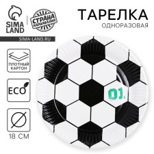 Disposable paper plate 