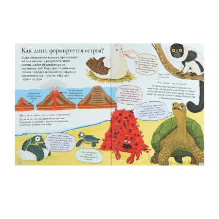 Questions and answers for the curious. Undersea world. Beduyer K.-3