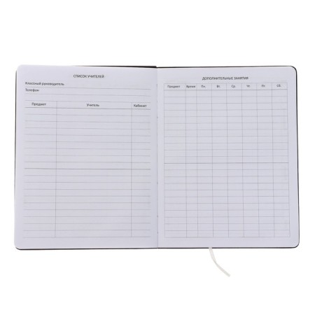 Universal diary for grade 1-11 Fearless, integral cover, artificial leather, silkography, lies, 80 g/m2-3