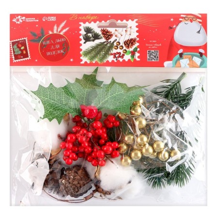 Set for creativity "Materials for winter crafts. Cones, twigs "-6