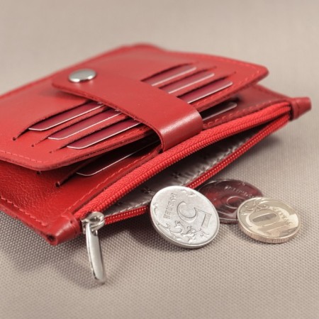 Cartholder, 2 departments, 7 pockets, red boat-3