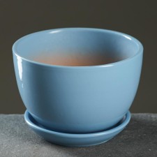 Flower Pot 