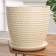 Flower pot "Plisa Shampan Budo No. 8", 22 l