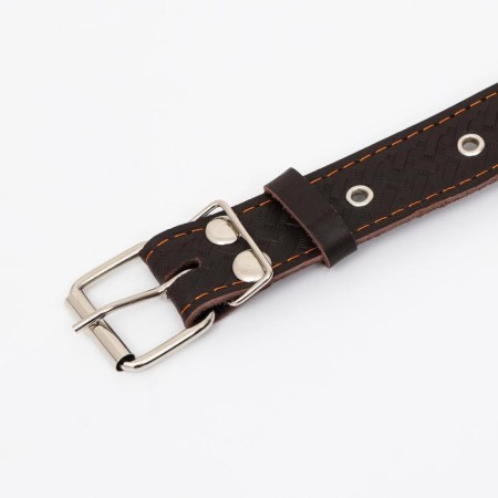 Collar leather reinforced with a kapron with a half-ring, 62 x 3.5 cm, Osh 33-60 cm, brown-3