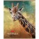 Notebook of 80 sheets in the "Wild World" line, cover coated cardboard, block 65 g/m2, 5v mix