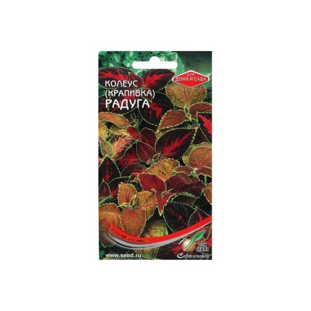 Seeds of indoor flowers Koleus "Bluma Rainbow", 130 pcs.-4