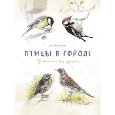 Birds in the city. Where to find and how to find out. Vasilieva A.