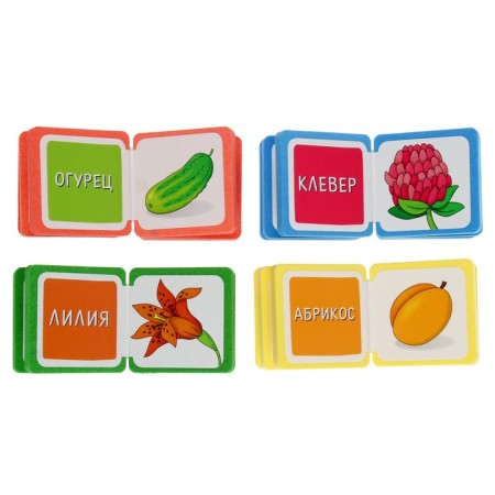 Mini-book. What is growing here? Set of 4 books-3