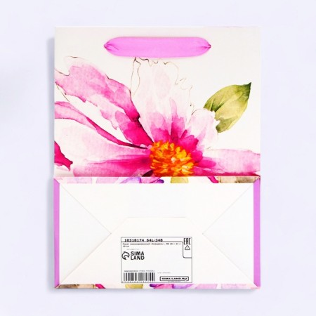 Laminated packet "Watercolor", MS 18 × 23 × 10 cm-1