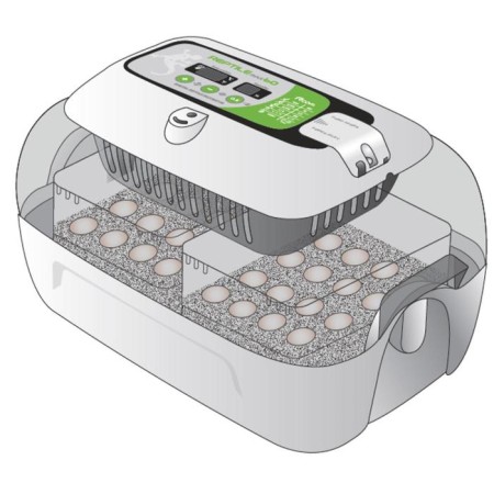 Incubator for reptiles, for 60 eggs, automatic coup, 120 V, rcom-3