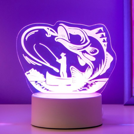 Light "Fisherman" Led RGB from the network 9.5x13.5x15 cm Risalux-6