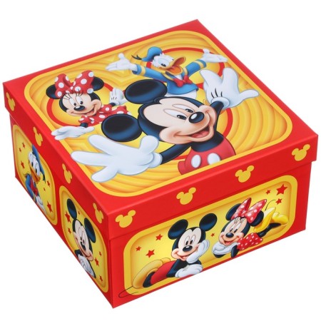 Set of boxes 5 in 1 Disney holiday-3