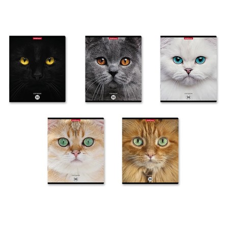 Notebook A5 96 sheets in a cage, Erichkrause "Cats", covered Cardboard, matte lamination, selective UV-LK, OFSET 100% White, MIX (1 species in Spike)