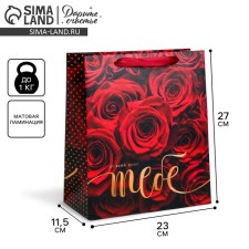 Gift Laminated vertical package, packaging, “this is all to you”, ml 23 x 27 x 11.5 cm
