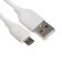 EXPLOYD EX-Z-465, 2 USB, 3.1a, MicroUSB cable, white