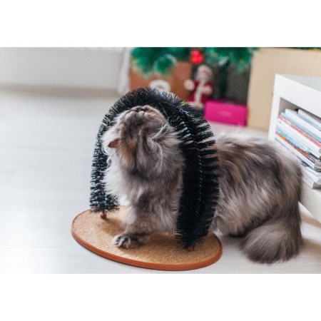 Complex for cats with claws and arch arch-6