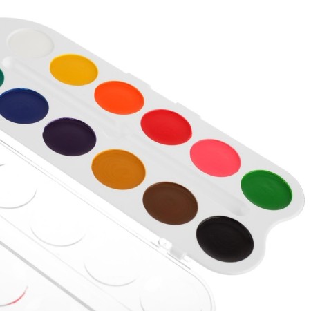 Honey watercolor ZHK "Flower", 12 colors, in a plastic box, without a brush-7