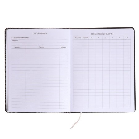 Universal diary for grade 1-11 Strike, hard cover, artificial leather, silkography, lies, 80 g/m2-5