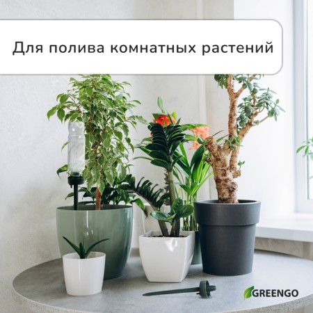 Auto-polyove for indoor plants, under a bottle, adjustable, dark green, plastic, height 25 cm, Greengo-1