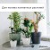 Auto-polyove for indoor plants, under a bottle, adjustable, dark green, plastic, height 25 cm, Greengo