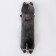 Soft toy "Husky", 80 cm, gray-white color