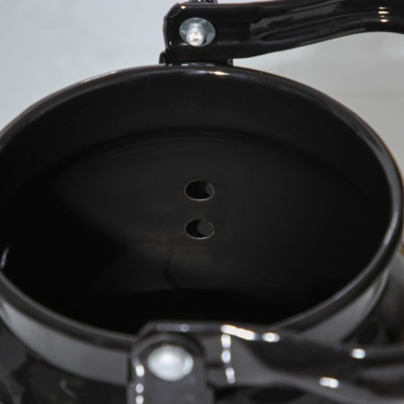 A kettle with a loop "Ryabina", 2.3 l, enameled cover, induction-3