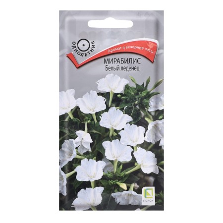 Flower seeds of Mirabilis "White Lollipop", 1gr.