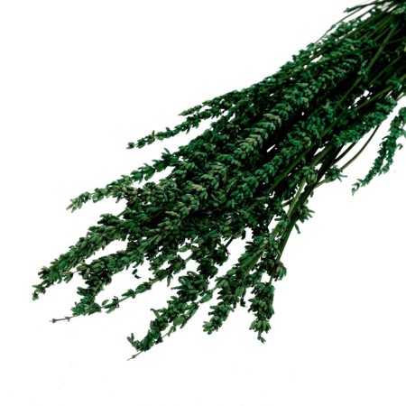 Sukhotzet "narrow -leaved lavender", green, 50 -100 g in packaging