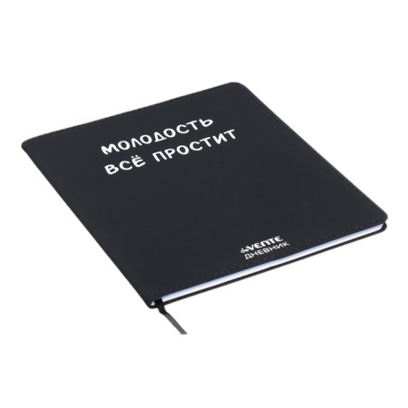 Universal diary for grade 1-11 "Youth will forgive everything", integral cover, artificial leather, silkography, lies, 80 g/m2-1
