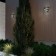 Landscape Facade lamp IP54 LED 12W 220-240V 4000K 720LM