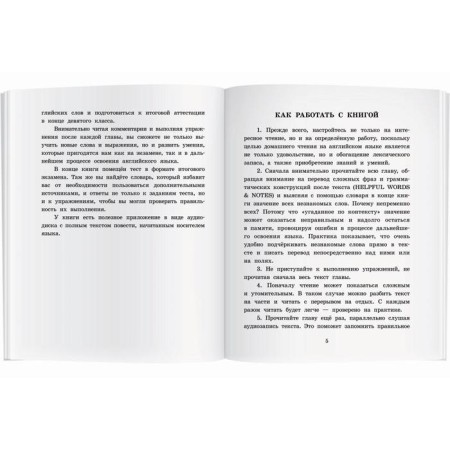Foreign Language Book. Treasure seekers. Home reading with tasks for the new Federal State Educational Standard. Nesbit E.-2