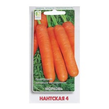Seeds of carrots 