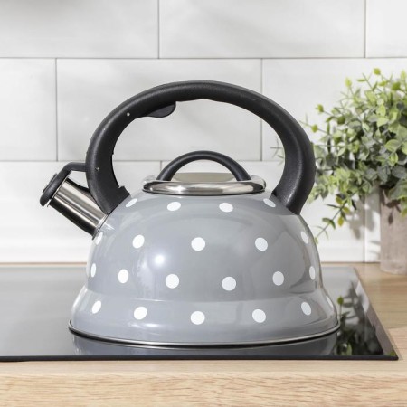 A kettle with a stainless steel whistle is a “peas” shares, 2.8 liters, the color is gray-4