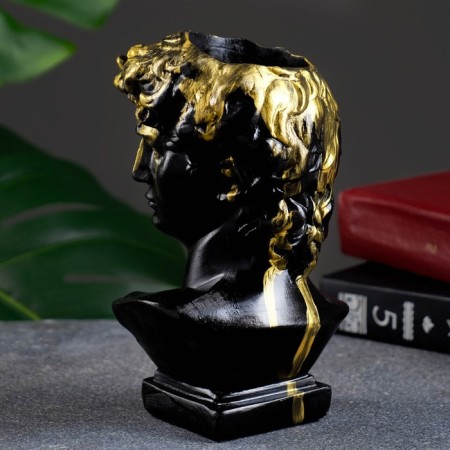 Kashpo - organizer "Bust of David" black, 17x9x10cm-3